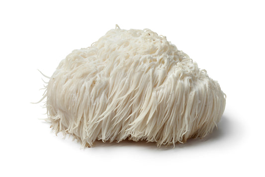 Lion's mane Mushroom