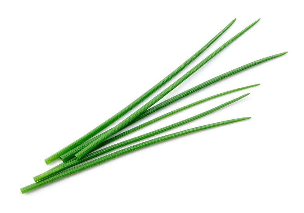 Chives