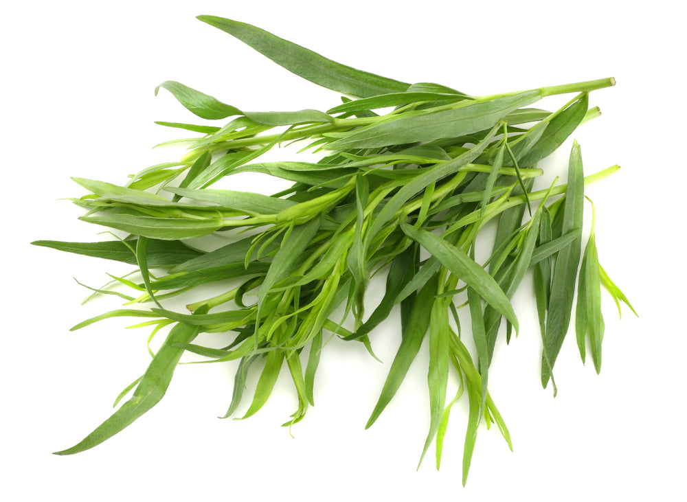 Tarragon