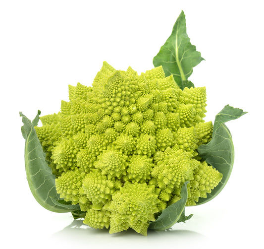 Romanesco Broccoli