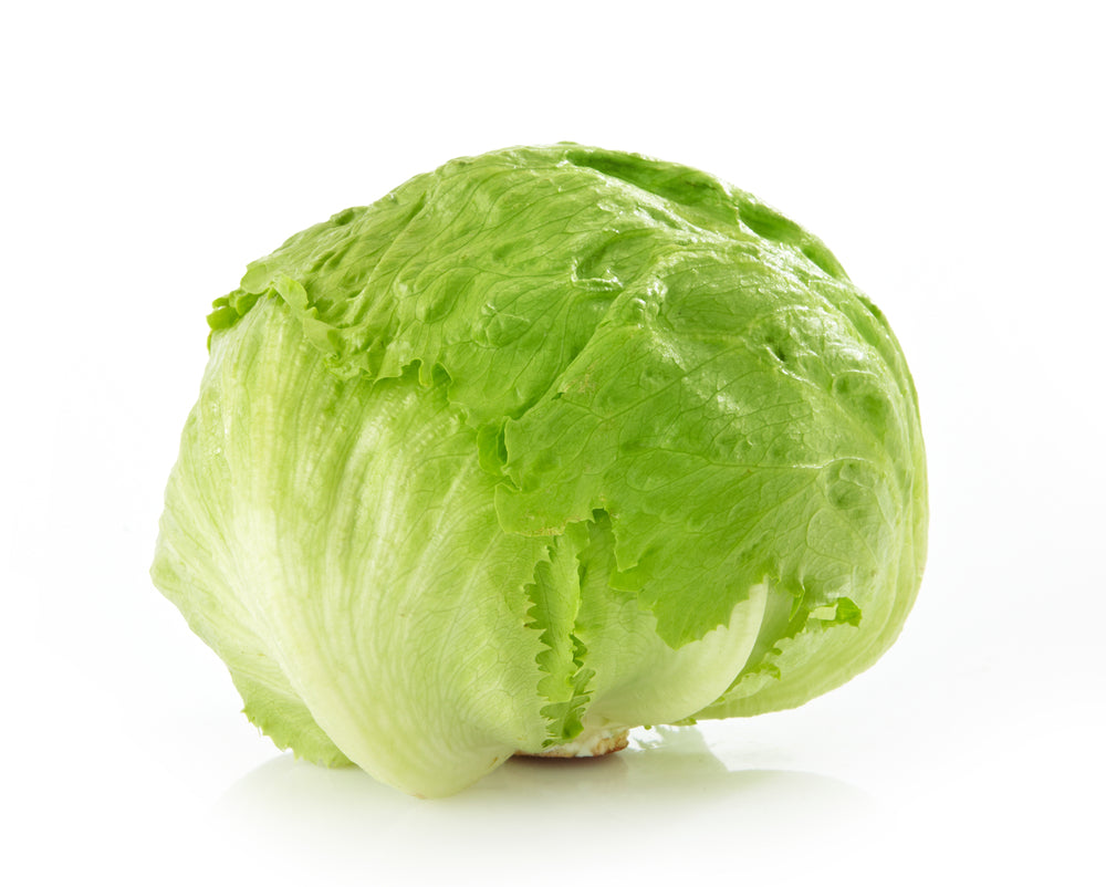 Iceberg Lettuce