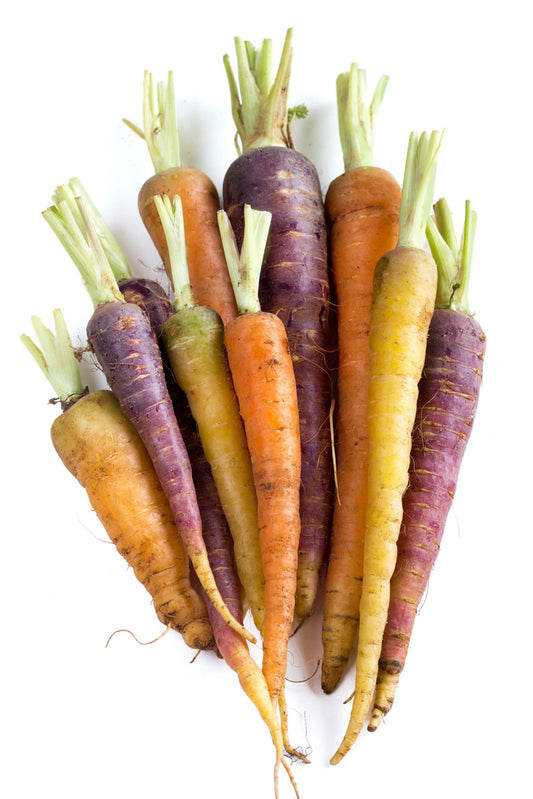 Carrots (Multicolour)