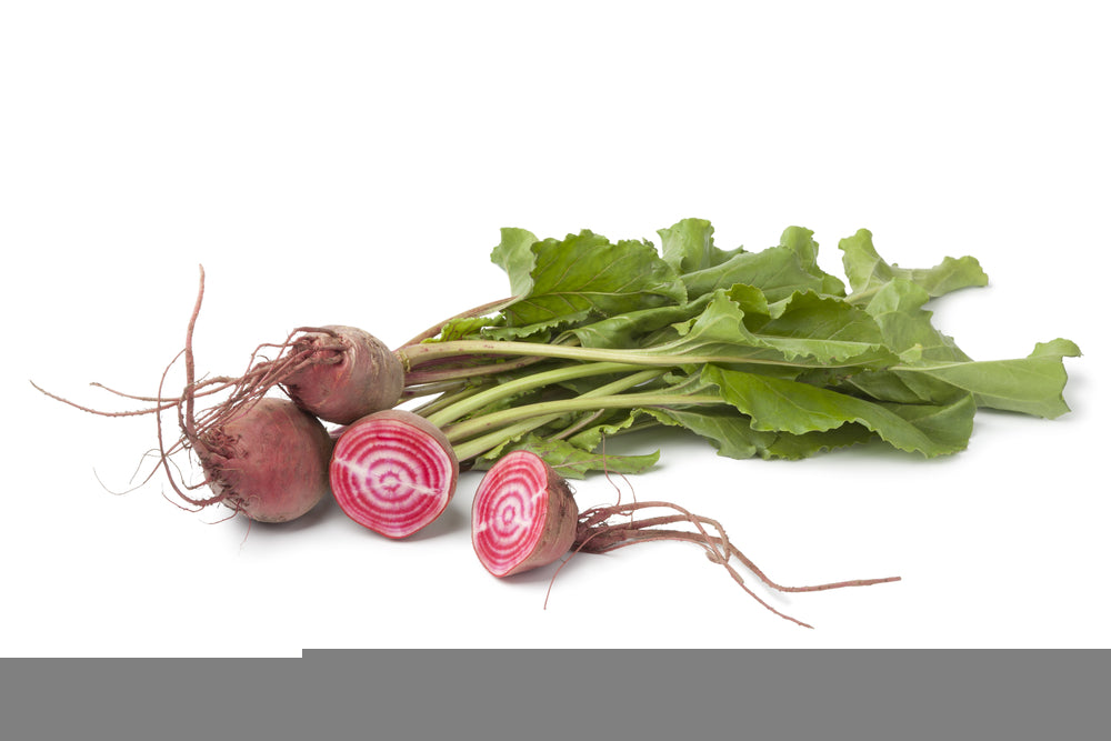 Candy cane beet roots