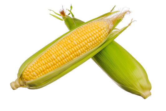 Sweet corn