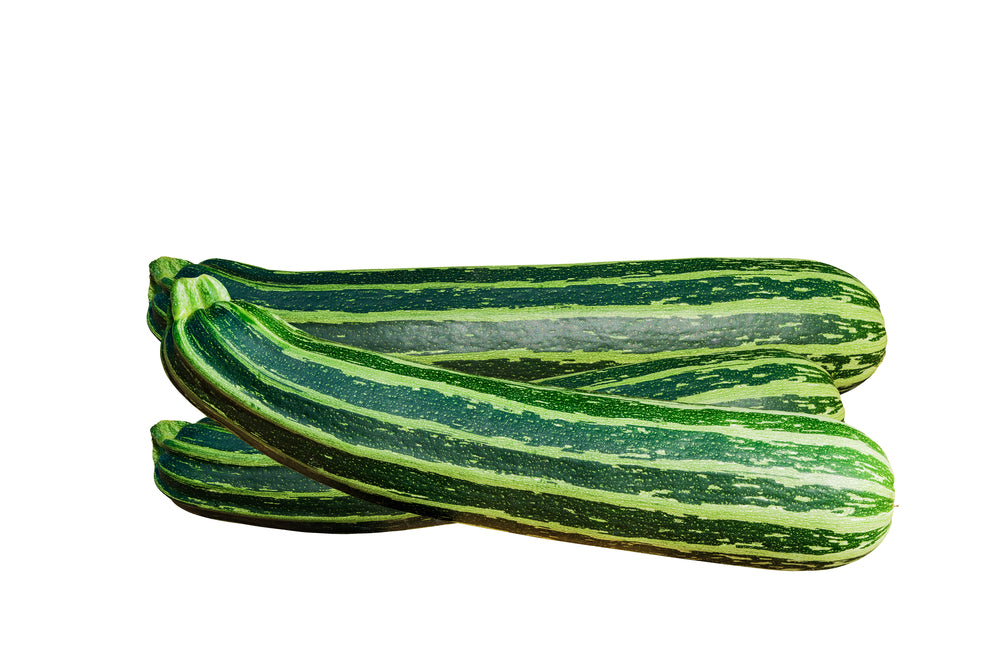 Cocozelle Zucchini