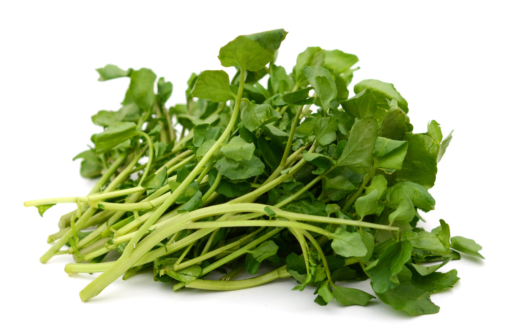 Water Cress