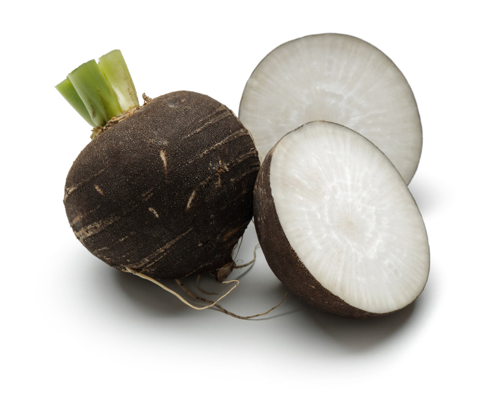 Black Spanish Radish