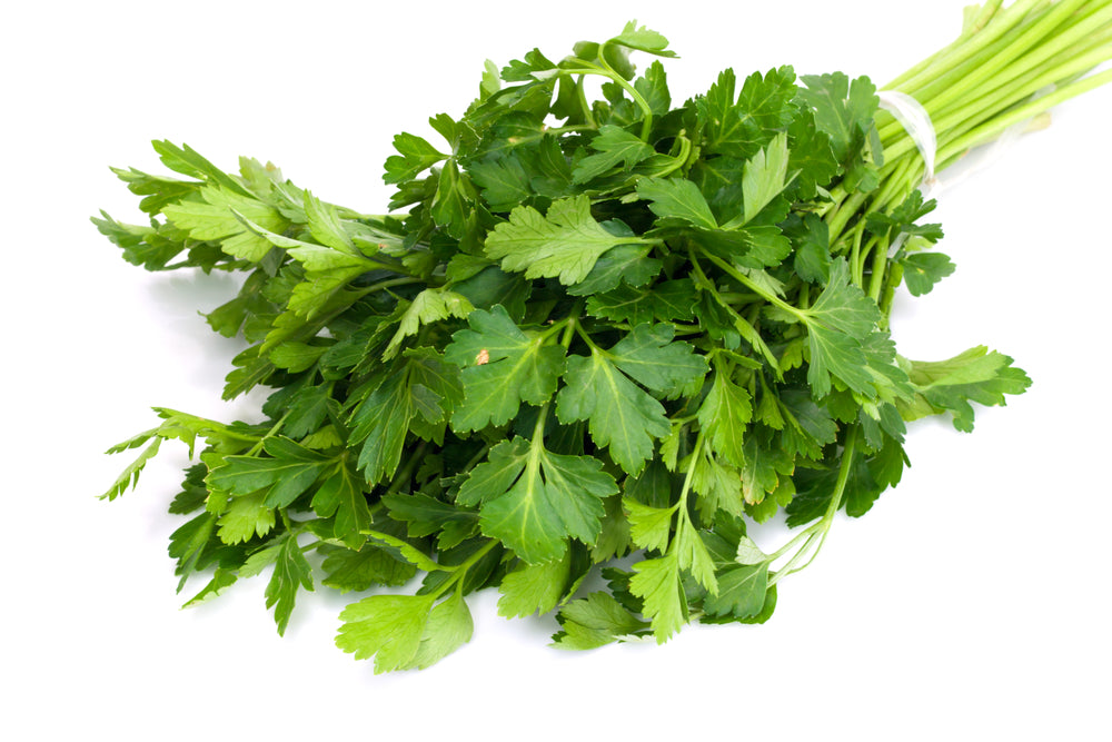 Flat leaf Parsley