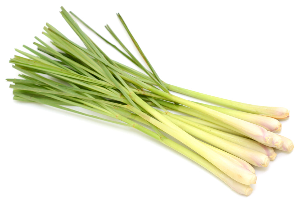 Lemon grass