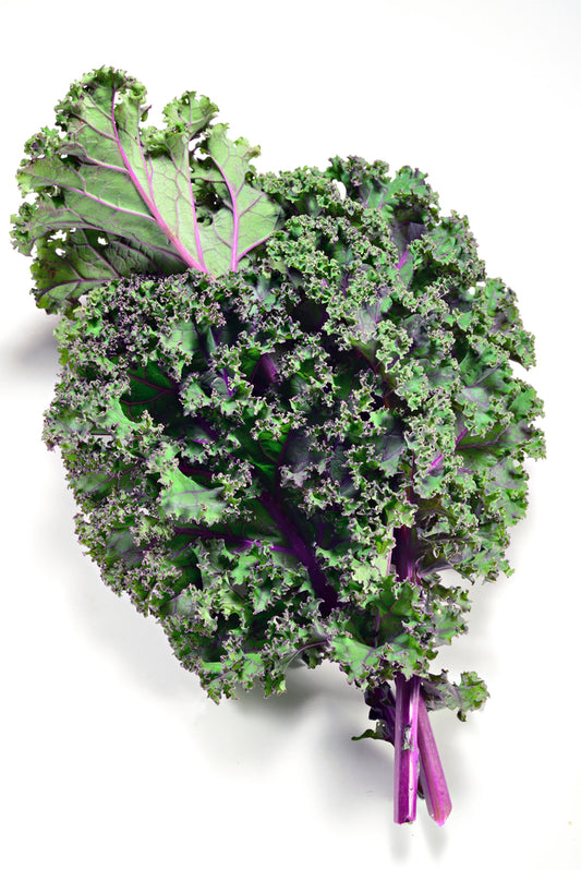 Red Kale