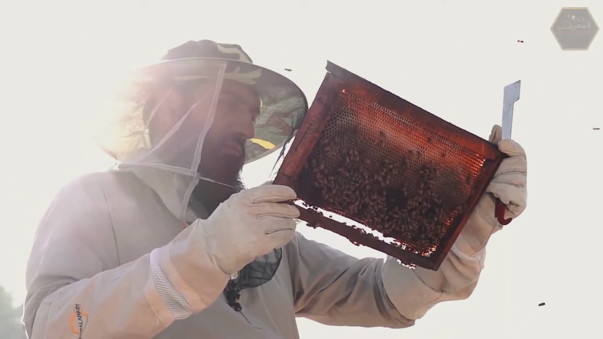 Load video: See how honey is produced organically in farms